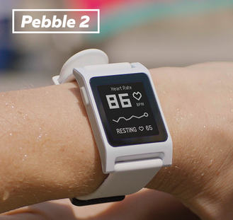 pebble 2